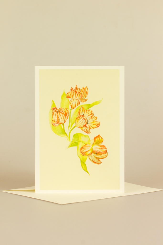 Art Card Tulips by Paula Kuitenbrouwer 