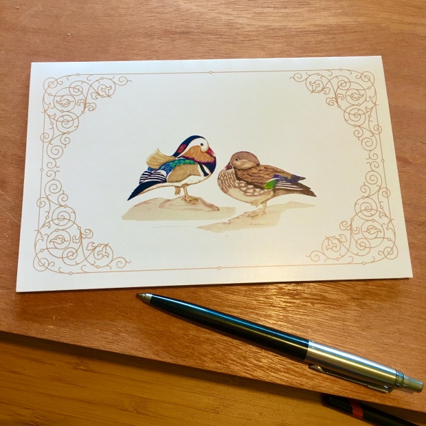 Mandarin Duck Art Card