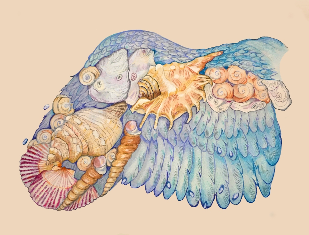 Beach Angels' Wing Copyright Paula Kuitenbrouwer