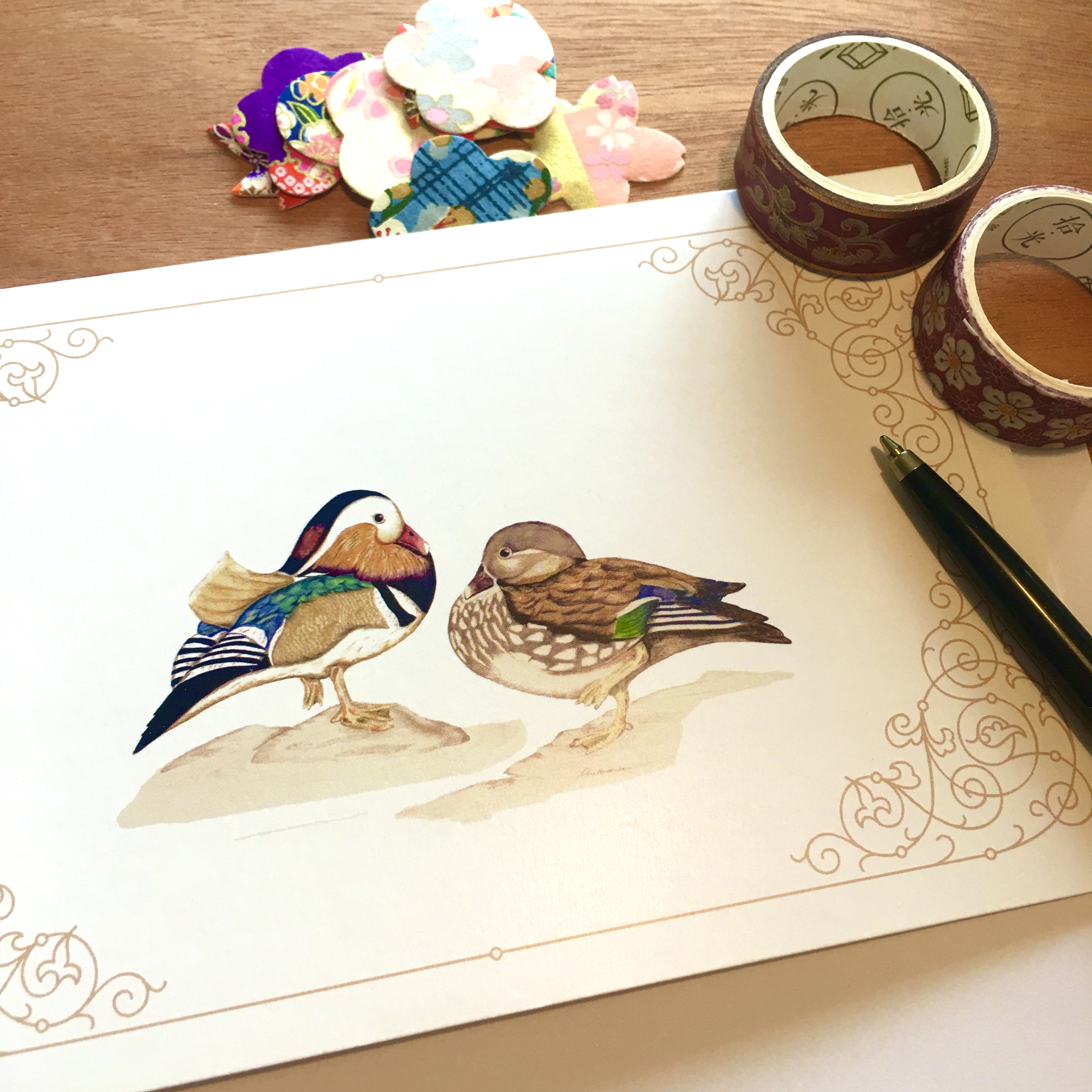 mandarin-ducks-art-card-standing-3